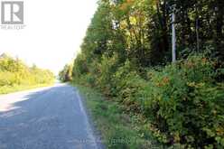 00 LOVERS LANE | Parry Sound Ontario | Slide Image Two