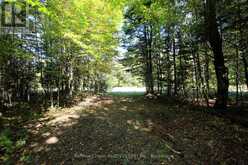 00 LOVERS LANE | Parry Sound Ontario | Slide Image Five