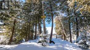 LOT 5 TRILLIUM CROSSING | Lion's Head Ontario | Slide Image Thirty-two