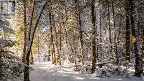 LOT 5 TRILLIUM CROSSING | Lion's Head Ontario | Slide Image Forty