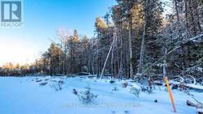 LOT 5 TRILLIUM CROSSING | Lion's Head Ontario | Slide Image Five