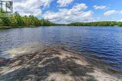 15KL2 KAHSHE | Gravenhurst Ontario | Slide Image Fourteen