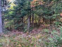 0 SUGAR BUSH ROAD E | Magnetawan Ontario | Slide Image Ten