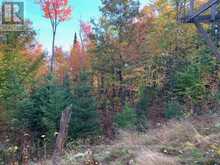 0 SUGAR BUSH ROAD E | Magnetawan Ontario | Slide Image Twelve