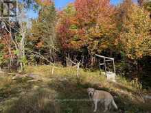 0 SUGAR BUSH ROAD E | Magnetawan Ontario | Slide Image Fourteen