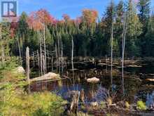 0 SUGAR BUSH ROAD E | Magnetawan Ontario | Slide Image Twenty-five