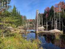 0 SUGAR BUSH ROAD E | Magnetawan Ontario | Slide Image Twenty-nine