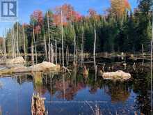 0 SUGAR BUSH ROAD E | Magnetawan Ontario | Slide Image Thirty-two