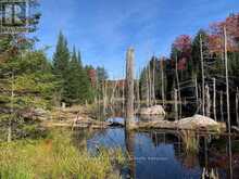 0 SUGAR BUSH ROAD E | Magnetawan Ontario | Slide Image Thirty-three