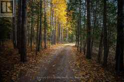 574251 SIDEROAD 40 | Markdale Ontario | Slide Image Nine