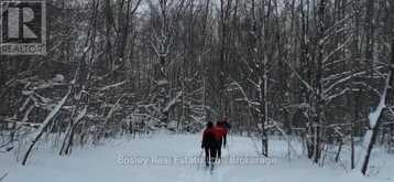 LT11-12 10 SIDE ROAD | Chatsworth Ontario | Slide Image One