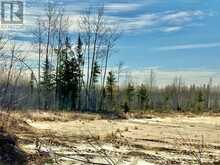 0 STONEY LONESOME ROAD | West Timiskaming Ontario | Slide Image Two