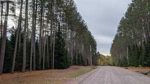 2 RED PINE TRAIL | Bracebridge Ontario | Slide Image Five