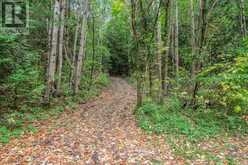 4060 10TH SIDE ROAD | Bradford West Gwillimbury Ontario | Slide Image Thirty-four