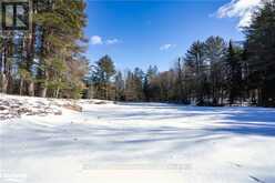 2483 OLD MUSKOKA ROAD | Huntsville Ontario | Slide Image Twenty-seven