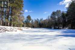 2483 OLD MUSKOKA ROAD | Huntsville Ontario | Slide Image Ten