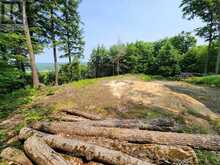 19 OLD HEMLOCK TRAIL | Huntsville Ontario | Slide Image Ten