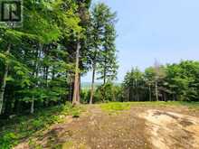 19 OLD HEMLOCK TRAIL | Huntsville Ontario | Slide Image Eleven