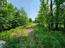 19 OLD HEMLOCK TRAIL | Huntsville Ontario | Slide Image Five