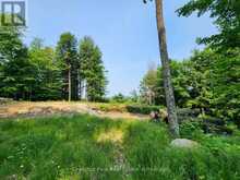 19 OLD HEMLOCK TRAIL | Huntsville Ontario | Slide Image Seven