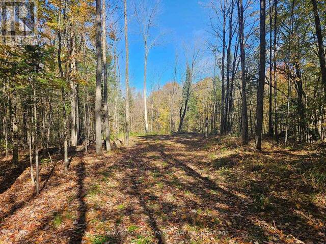 1173 GELERT ROAD Minden Hills Ontario, K0M 2K0 - Vacant Land For Sale