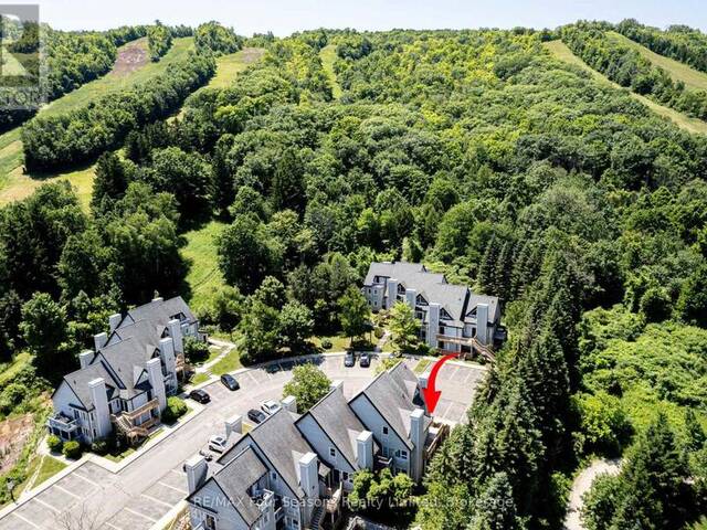 705 - 796468 GREY ROAD 19 The Blue Mountains Ontario, L9Y 0N6 - 1 Bedroom Condo For Sale