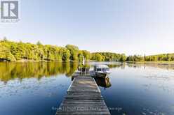 1155 BETWEEN LAKES TRAIL | Algonquin Highlands Ontario | Slide Image Two