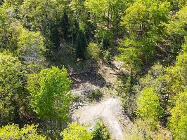 1019 BUSHWOLF LAKE ROAD Haliburton Ontario, K0M 1S0 - Vacant Land For Sale