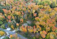 1019 BUSHWOLF LAKE ROAD | Haliburton Ontario | Slide Image Twenty-nine