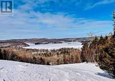 1019 BUSHWOLF LAKE ROAD | Haliburton Ontario | Slide Image Thirty-six