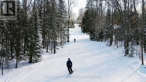 1019 BUSHWOLF LAKE ROAD | Haliburton Ontario | Slide Image Nine