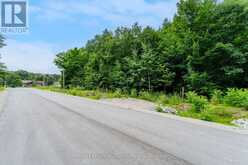 LOT 67 WHISPERING PINE CIRCLE | Tiny Ontario | Slide Image Five