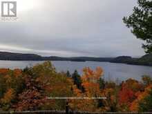 0 HIGHWAY 35 HIGHWAY | Lake of Bays Ontario | Slide Image Two