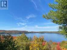 0 HIGHWAY 35 HIGHWAY | Lake of Bays Ontario | Slide Image Five