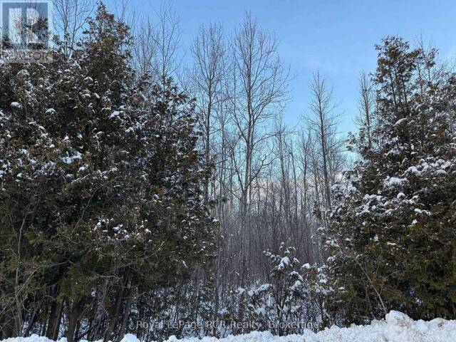 216 COUNTRY ROAD South Bruce Peninsula Ontario, N0H 1A0 - Vacant Land For Sale