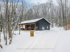 1218 BASSHAUNT LAKE ROAD Haliburton Ontario, K0M 1S0