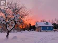 613162 50 SIDE ROAD | Priceville Ontario | Slide Image Thirty-eight