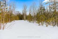 PT 9/10 HIGHWAY 6 | Miller Lake Ontario | Slide Image Fourteen