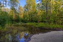 PT 9/10 HIGHWAY 6 | Miller Lake Ontario | Slide Image Nineteen