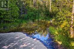 PT 9/10 HIGHWAY 6 | Miller Lake Ontario | Slide Image Twenty