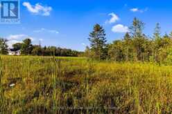 PT 9/10 HIGHWAY 6 | Miller Lake Ontario | Slide Image Thirty-three