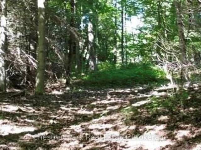 LT 11 CONCESSION 4 EBR Lion's Head Ontario, N0H 1W0 - Vacant Land For Sale