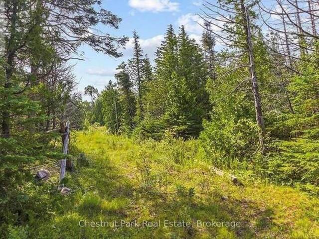 205 EAST ROAD Lion's Head Ontario, N0H 1W0 - Vacant Land For Sale