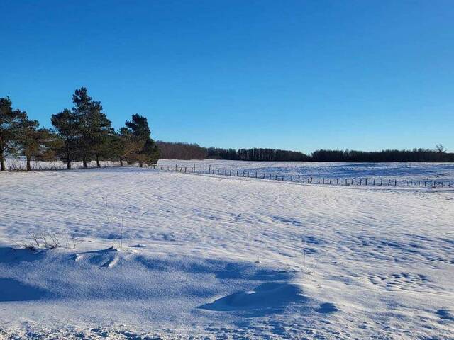 PART LO CONCESSION 12 CONCESSION Arran-Elderslie Ontario, N0H 1L0 - Vacant Land For Sale