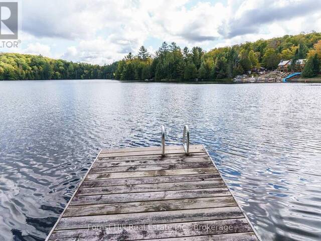 1041 LONGLINE LAKE ROAD Baysville Ontario, P0B 1A0 - 2 Bedrooms Waterfront Home For sale