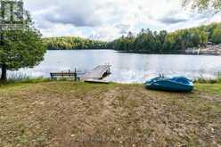 1041 LONGLINE LAKE ROAD | Baysville Ontario | Slide Image Twenty-one