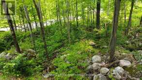 1963 LOT 52 TINY BEACHES ROAD N | Tiny Ontario | Slide Image Five