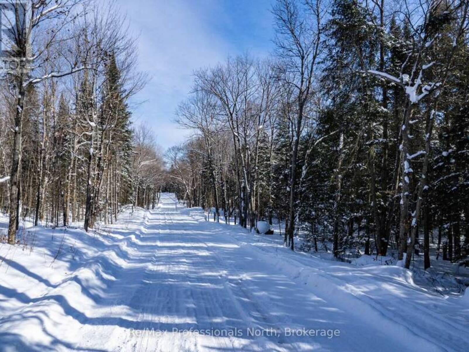 0 SOUTH HORN LAKE ROAD, Burk's Falls, Ontario P0A 1C0