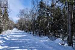 0 SOUTH HORN LAKE ROAD | Burk's Falls Ontario | Slide Image Twelve