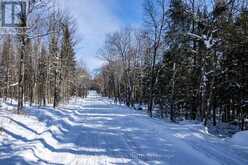 0 SOUTH HORN LAKE ROAD | Burk's Falls Ontario | Slide Image One